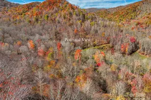 000 Pearl Way, Burnsville, NC 28714 - Photo 3