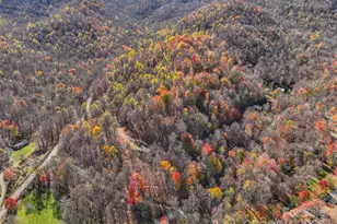 000 Pearl Way, Burnsville, NC 28714 - Photo 5