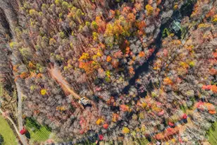 000 Pearl Way, Burnsville, NC 28714 - Photo 7