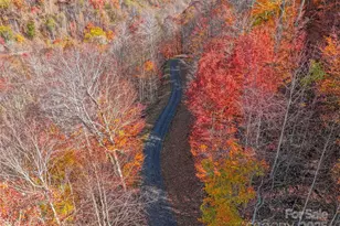 000 Pearl Way, Burnsville, NC 28714 - Photo 9