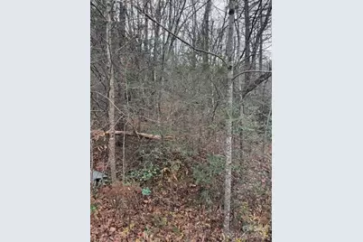 0 Relaxation Place, Lenoir, NC 28645 - Photo 9