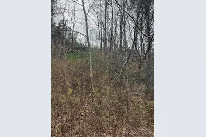 0 Relaxation Place, Lenoir, NC 28645 - Photo 7