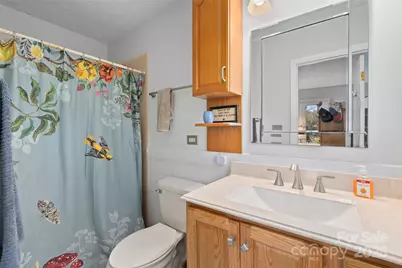 18 Terrace Lane, Weaverville, NC 28787 - Photo 19