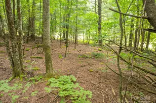 230 Westcove Ln, Boone, NC 28607 - Photo 41