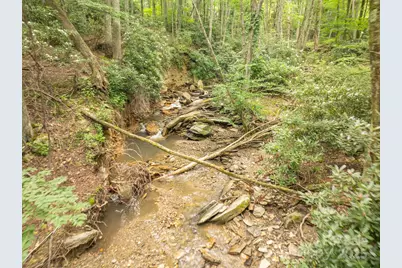 230 West Cove Lane, Boone, NC 28607 - Photo 33