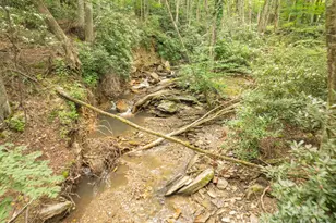 230 Westcove Ln, Boone, NC 28607 - Photo 33