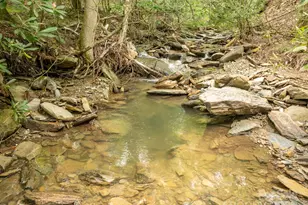 230 Westcove Ln, Boone, NC 28607 - Photo 31