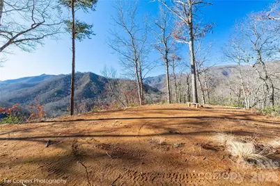 9999 Sourwood Road, Canton, NC 28716 - Photo 13