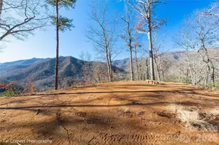 9999 Sourwood Rd, Canton, NC 28716 - Photo 13