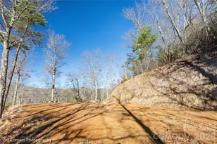 9999 Sourwood Rd, Canton, NC 28716 - Photo 15