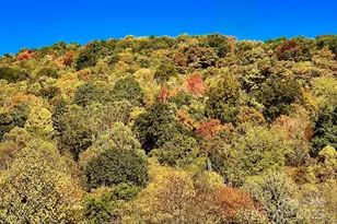 9999 Sourwood Rd, Canton, NC 28716 - Photo 33