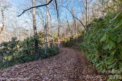 9999 Sourwood Road, Canton, NC 28716 - Photo 19