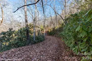 9999 Sourwood Rd, Canton, NC 28716 - Photo 19