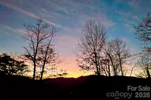 9999 Sourwood Rd, Canton, NC 28716 - Photo 31