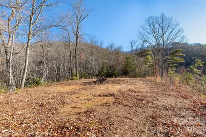 9999 Sourwood Road, Canton, NC 28716 - Photo 7