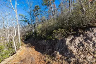 9999 Sourwood Rd, Canton, NC 28716 - Photo 11