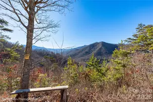 0000 Sourwood Rd, Canton, NC 28716 - Photo 9