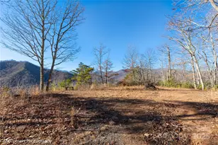 0000 Sourwood Rd, Canton, NC 28716 - Photo 25