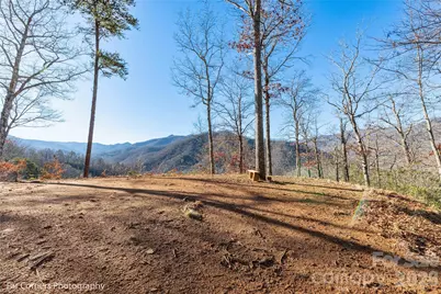 0000 Sourwood Road, Canton, NC 28716 - Photo 15