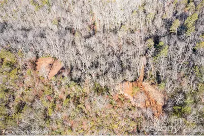 0000 Sourwood Road, Canton, NC 28716 - Photo 29