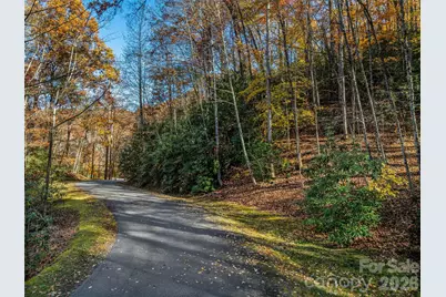 241 Skye Drive, Pisgah Forest, NC 28768 - Photo 7