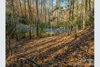 241 Skye Drive, Pisgah Forest, NC 28768 - Photo 9