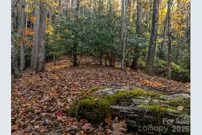 241 Skye Drive, Pisgah Forest, NC 28768 - Photo 3