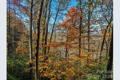 241 Skye Drive, Pisgah Forest, NC 28768 - Photo 23