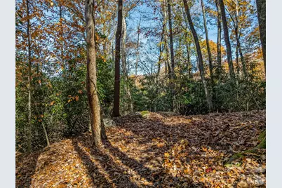 241 Skye Drive, Pisgah Forest, NC 28768 - Photo 11