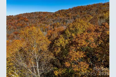 241 Skye Drive, Pisgah Forest, NC 28768 - Photo 19