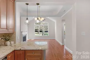 3038 Bellasera Way, Matthews, NC 28105 - Photo 9