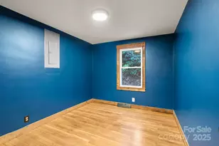 456 Rector Corner Rd, Marshall, NC 28753 - Photo 19