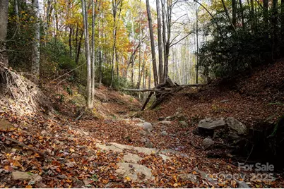 4B Lower Flat Creek Road, Black Mountain, NC 28711 - Photo 13