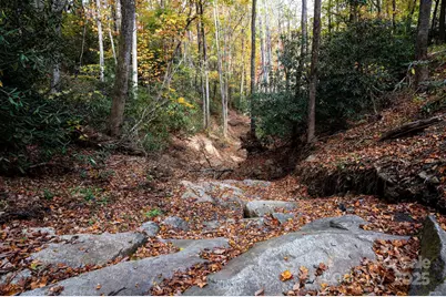 4B Lower Flat Creek Road, Black Mountain, NC 28711 - Photo 9