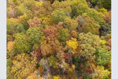 4B Lower Flat Creek Road, Black Mountain, NC 28711 - Photo 25