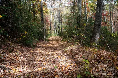 4B Lower Flat Creek Road, Black Mountain, NC 28711 - Photo 3