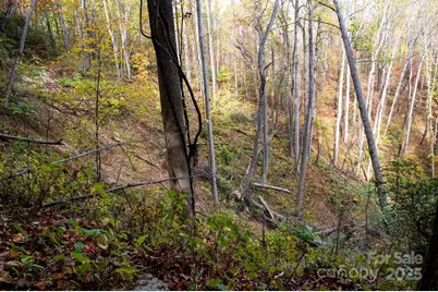 4B Lower Flat Creek Road, Black Mountain, NC 28711 - Photo 7