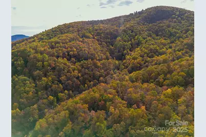 4B Lower Flat Creek Road, Black Mountain, NC 28711 - Photo 19