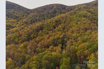 4B Lower Flat Creek Road, Black Mountain, NC 28711 - Photo 21