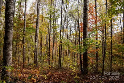 4B Lower Flat Creek Road, Black Mountain, NC 28711 - Photo 5