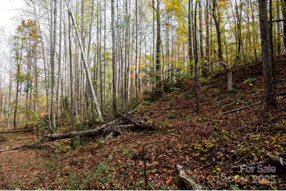 4B Lower Flat Creek Road, Black Mountain, NC 28711 - Photo 15