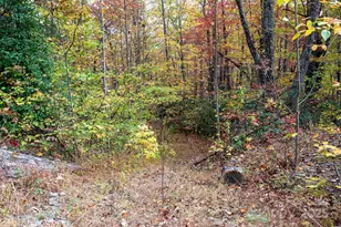 4B Lower Flat Creek Rd, Black Mountain, NC 28711 - Photo 1