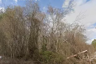 0 Pine Tree Pl, Salisbury, NC 28144 - Photo 1