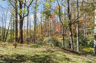 96 Thompson Rd, Spruce Pine, NC 28777 - Photo 3