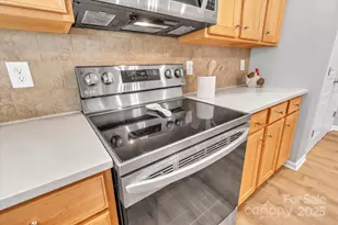 297 Sand Paver Way, Fort Mill, SC 29708 - Photo 19