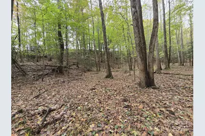 Tbd Wards Gap Road, Casar, NC 28020 - Photo 7