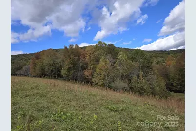 Tbd Wards Gap Road, Casar, NC 28020 - Photo 29