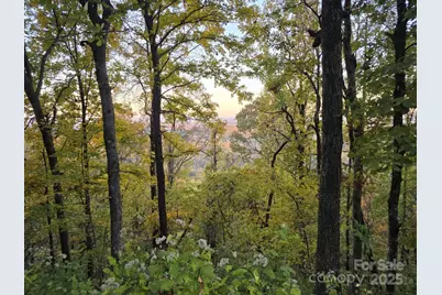 Tbd Wards Gap Road, Casar, NC 28020 - Photo 37