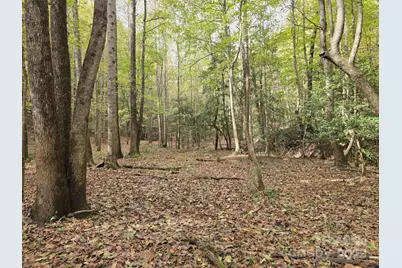 Tbd Wards Gap Road, Casar, NC 28020 - Photo 27