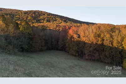 Tbd Wards Gap Road, Casar, NC 28020 - Photo 19